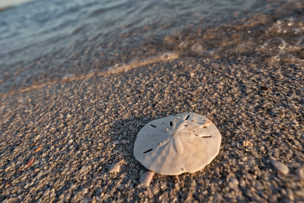 anna maria island 3840px 056